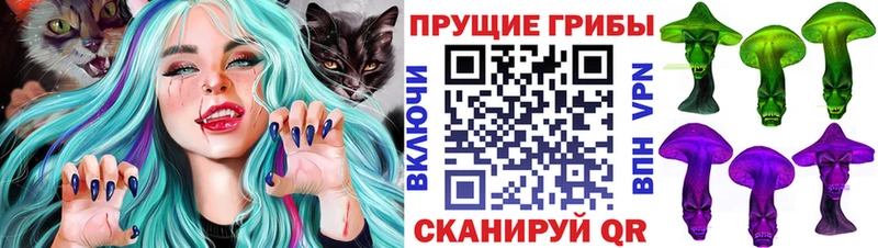 купить   Верхняя Тура  Псилоцибиновые грибы MAGIC MUSHROOMS 